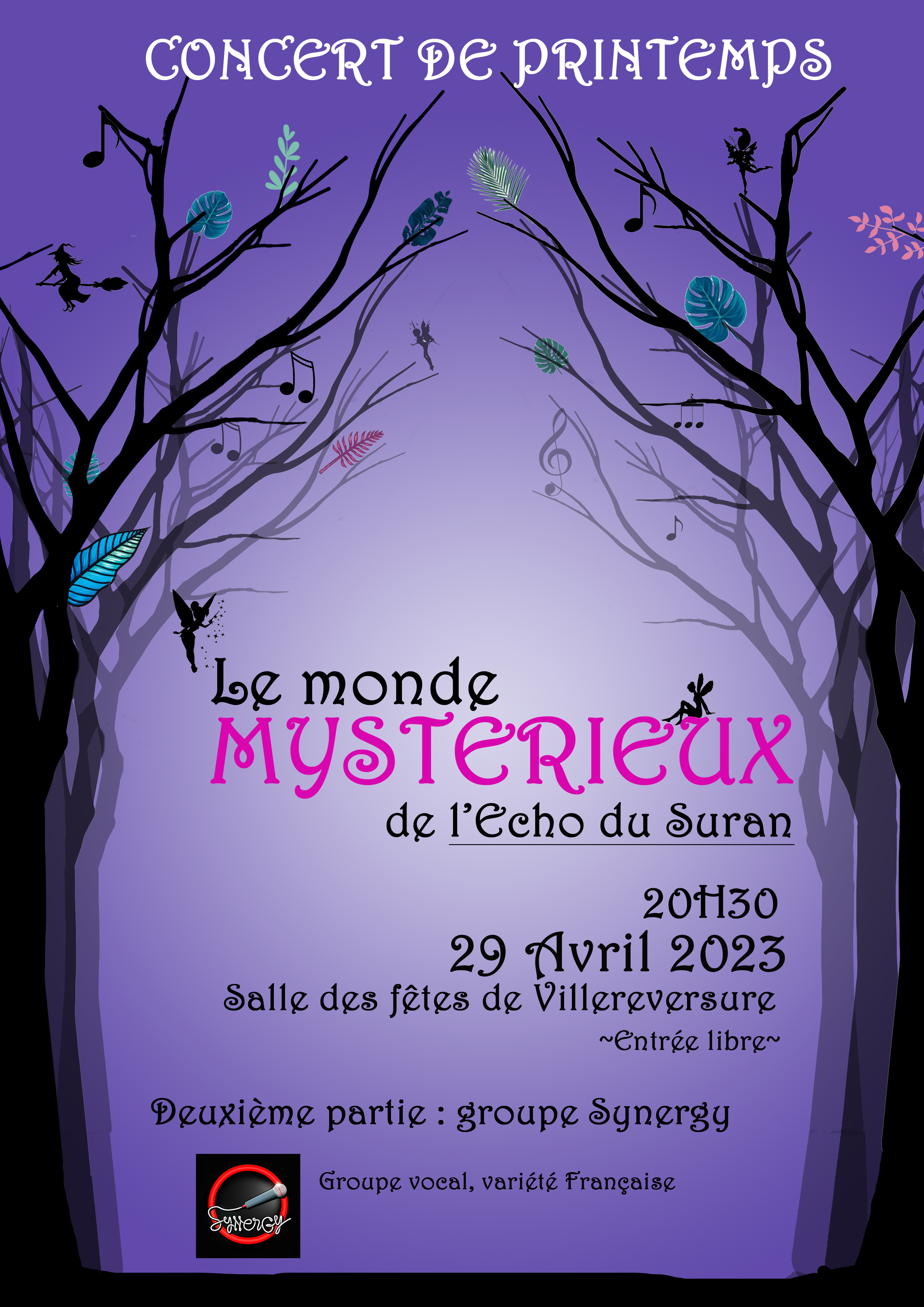 affiche écho du suran